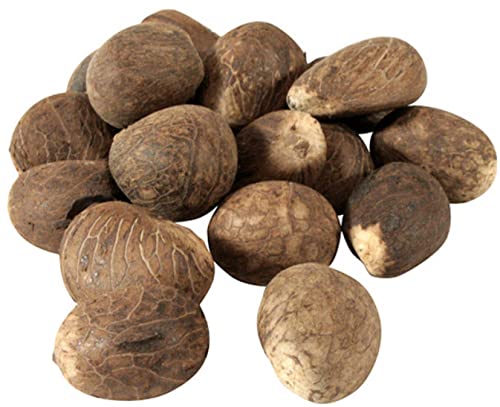 סחר הוגן אקוודור אגוזים | שנהב טבעוני | L 65-70 ממ / 6.5 סמ -7 סמ